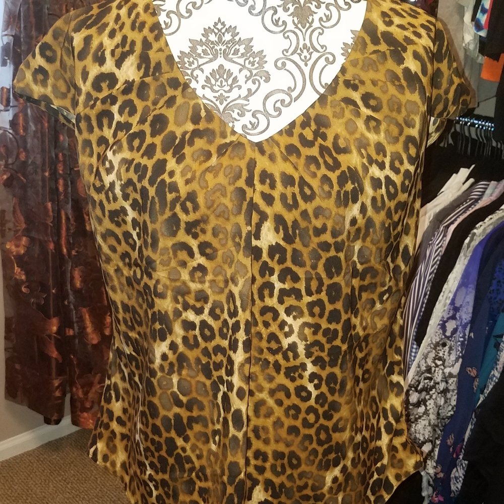 Express Brown Leopard Print V-Neck Blouse